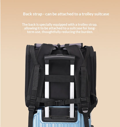 Large-capacity Portable Cat Carrier For Travel