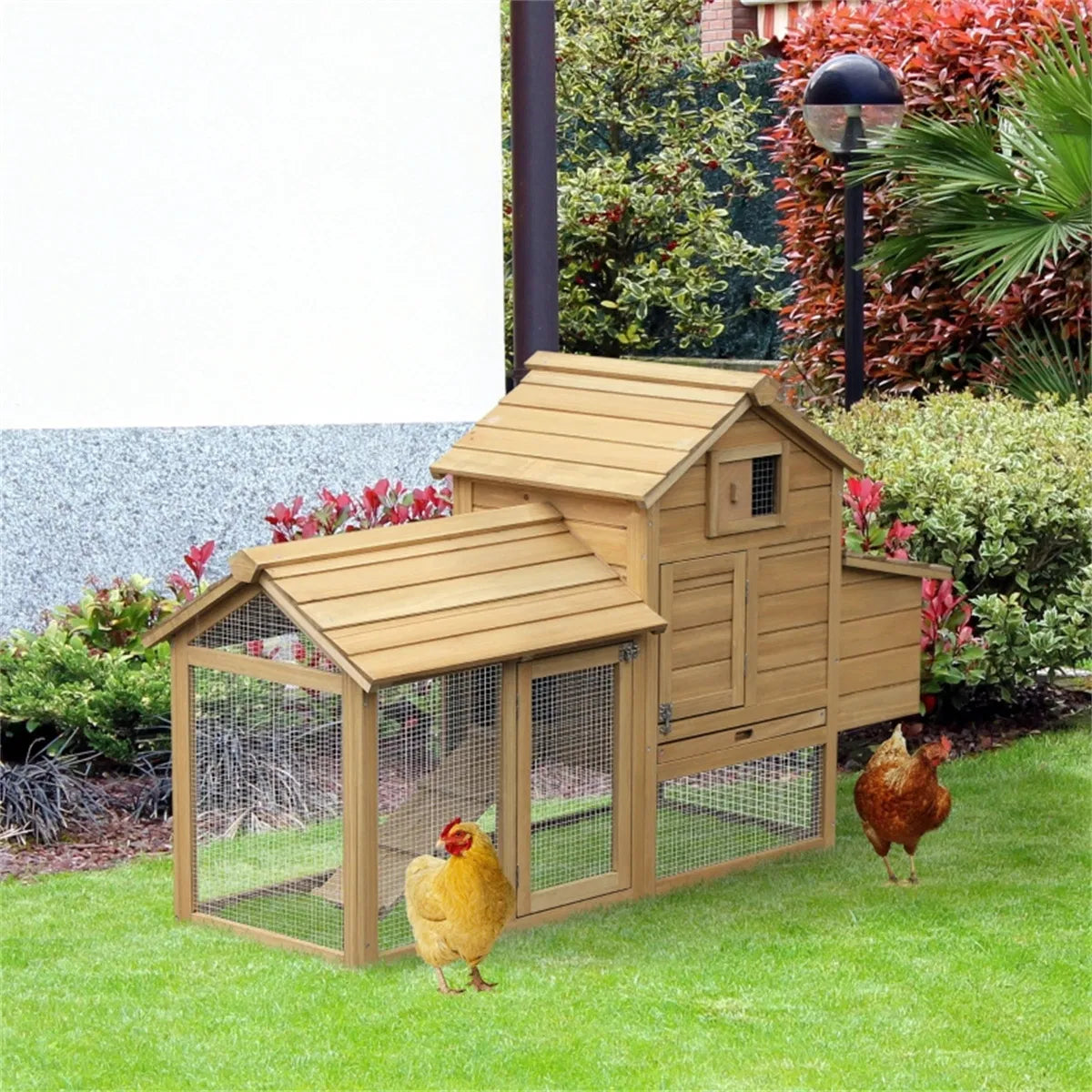Wooden Chicken Coop - Dog Collar & Leash