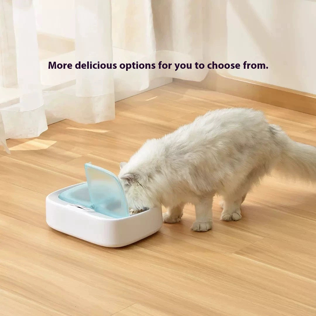 Smart Pet Feeder Prevent Stealing Accurate