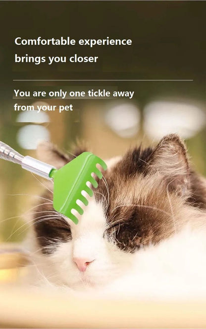 Cat Interactive Scratching Toy Massage Brush Pet Products Cat Scratching
