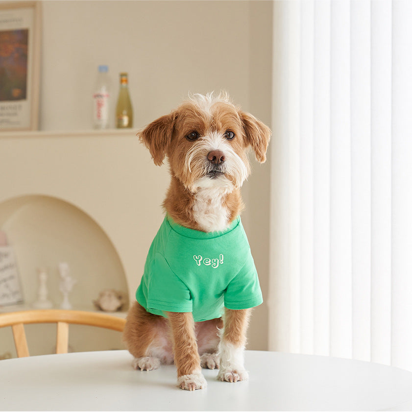 Korea Korean Version Of Pet Clothes T-shirt Refreshing Color Printing Chun Cotton Short-sleeved T