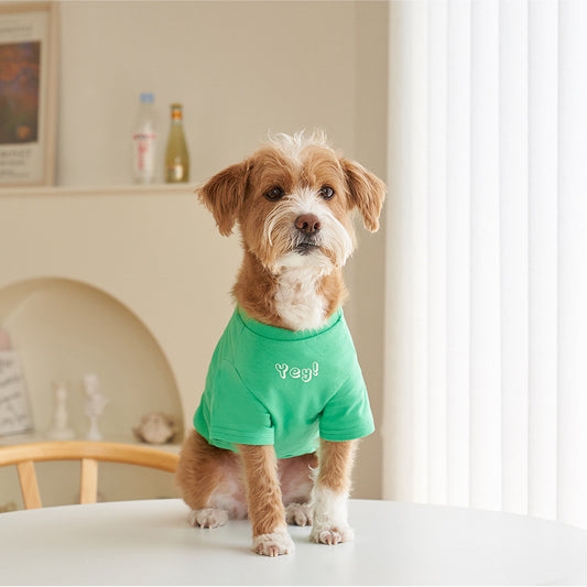 Korea Korean Version Of Pet Clothes T-shirt Refreshing Color Printing Chun Cotton Short-sleeved T