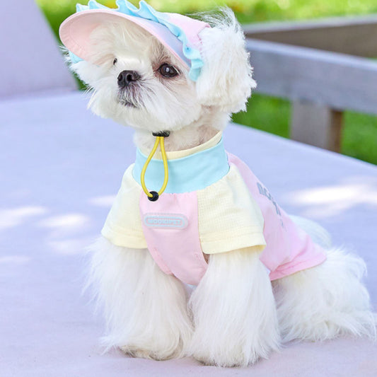 Dog Hat Exposed Ears Small Dog Bichon Schnauzer Pet