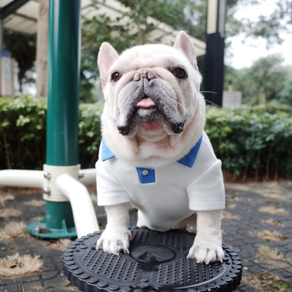 Dog Autumn And Winter Plus Size Colorblock Polo Shirt School Uniform