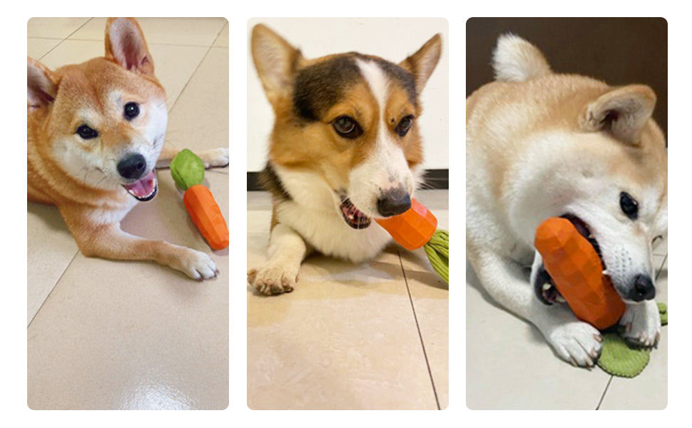 Dog Squeaky Chew Toys For Aggressive Chewers Rubber Carrot Dog Toys For Training And Cleaning Interactive Tough Dog Toy For Medium Dogs