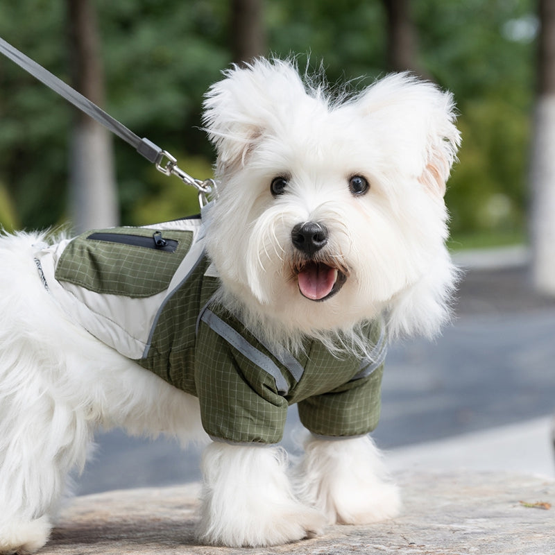 Autumn and Winter Dog, Small and Medium-Sized Dog, Checkered Adventure Outdoor Windbreaker, Teddy Cat, Warm Cotton...