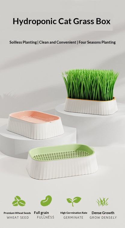 Hydroponic Cat Grass Box Natural Hairball Relief Catnip
