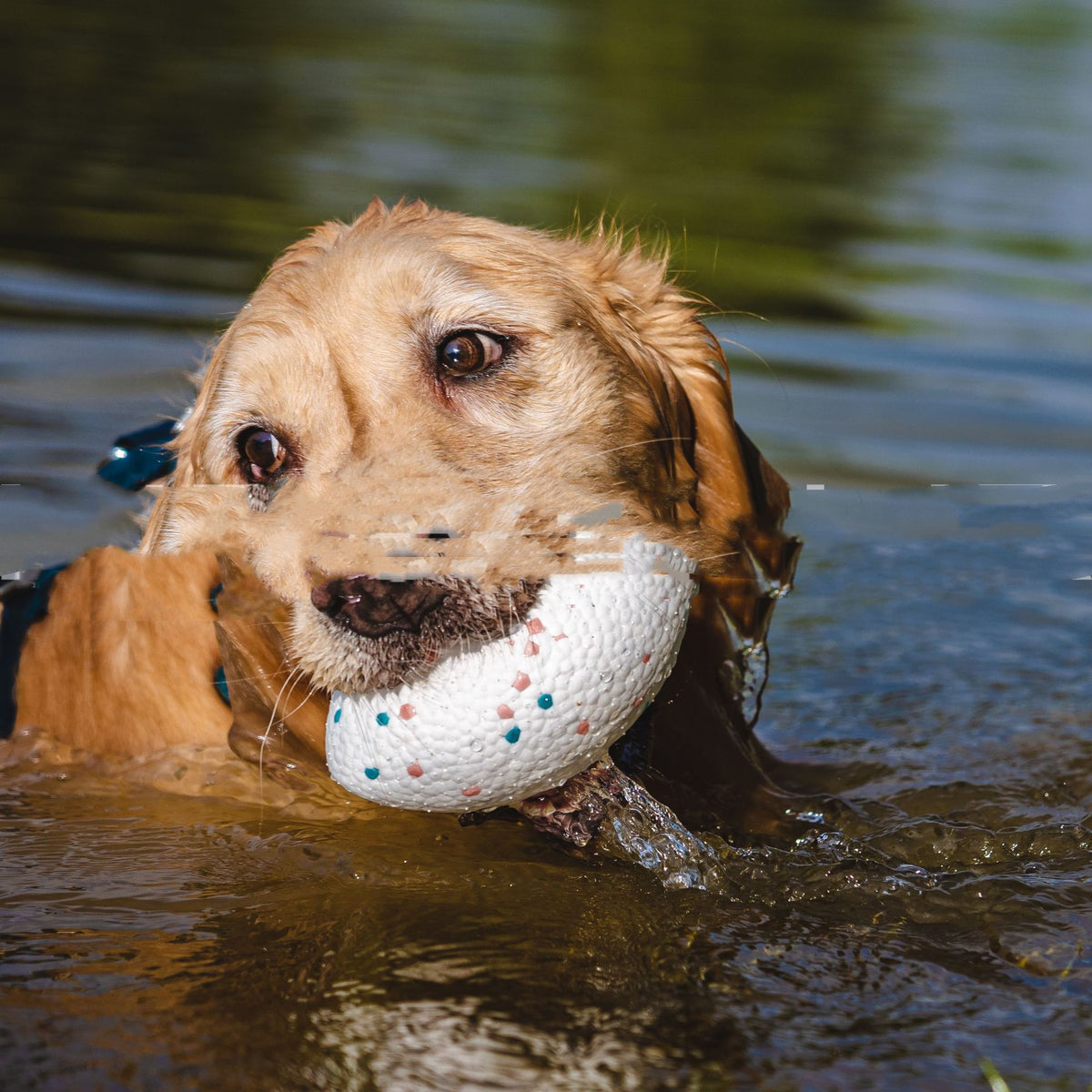 Teeth-resistant Pet Dog Chewing Toy Football