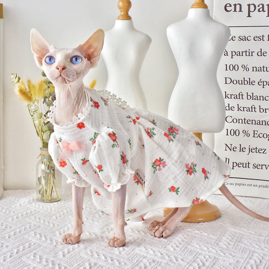 Botrytis - Sphinx Hairless Cat Summer