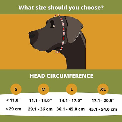 Dog Earmuffs For Hearing Protection Of Thunder Fireworks