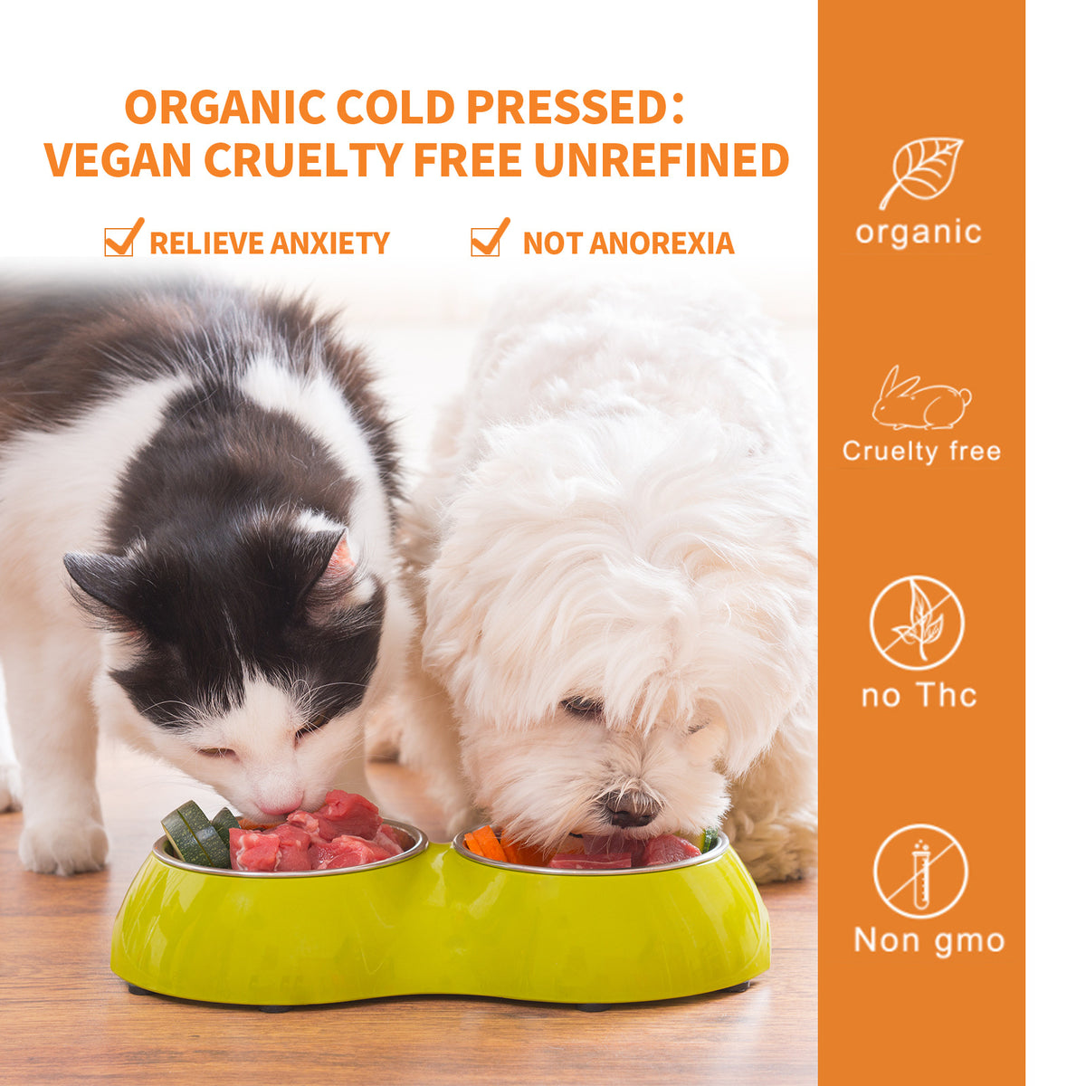 Pet Cat And Dog Diet Care To Enhance Physical Fitness And Nutritional Supplements