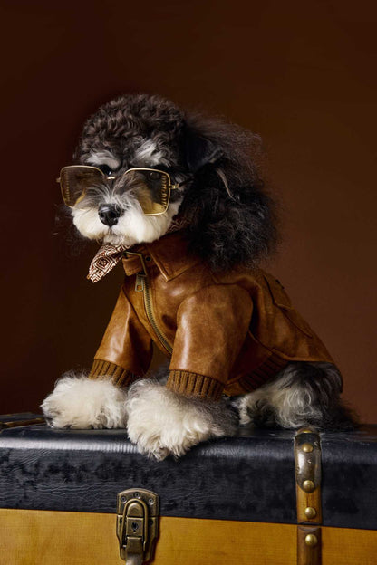Schnauzer Bichon Handsome Retro Style Long Sleeve Two Feet Apparel Leather Coat - Pet Clothing
