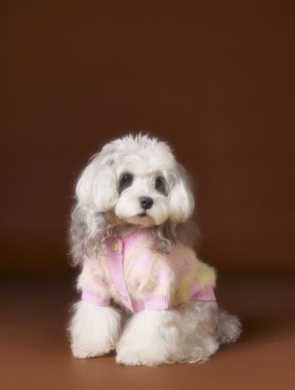 Schnauzer Teddy Bichon Cute Cardigan Sweater - Pet Clothing