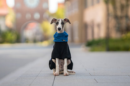 Pet Warm Collar Detachable Windproof Four-leg Clothes