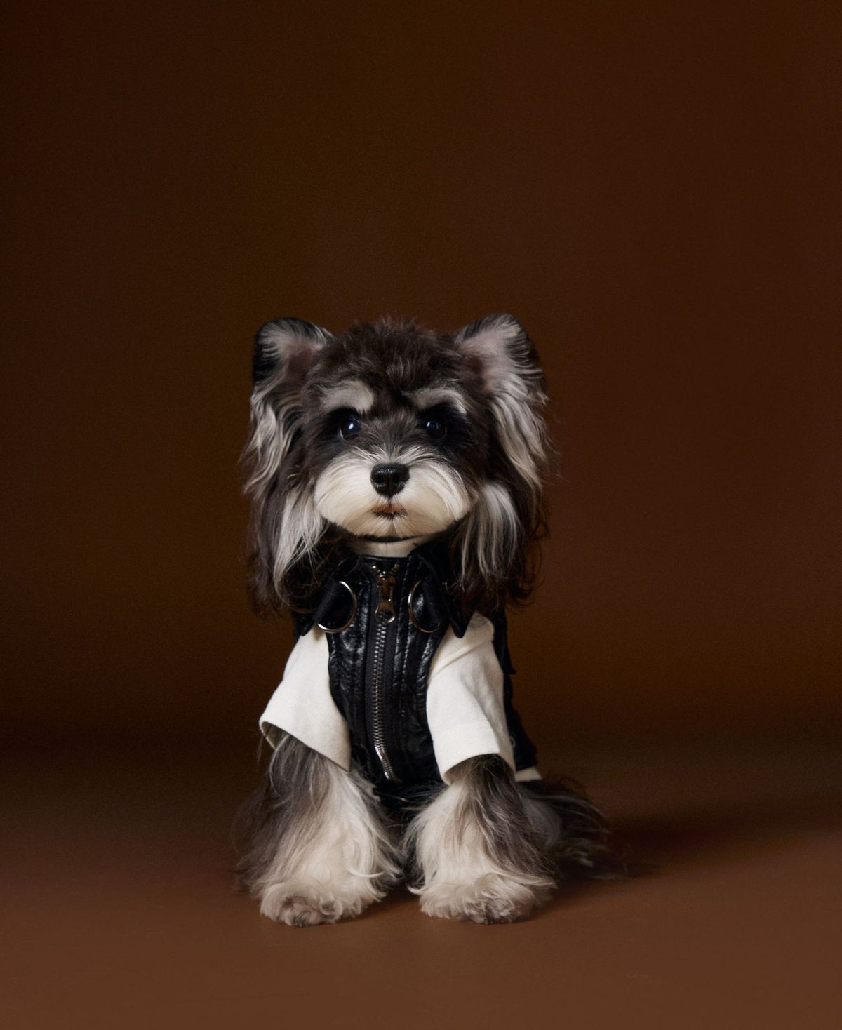 Heavy Industry Cargo Pocket Vest Schnauzer Bichon Teddy Sleeveless Leather Jacket - Pet Clothing
