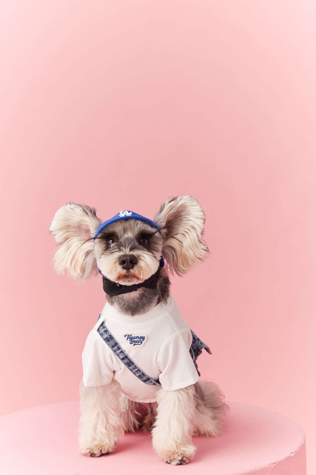 Dog Clothes Summer Teddy Small Body Schnauzer Bichon