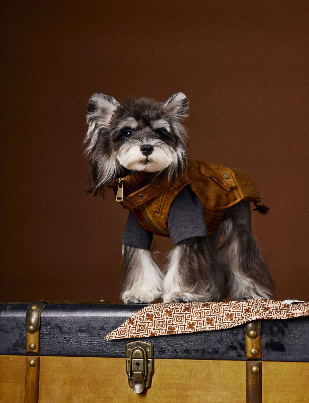 Schnauzer Teddy Bichon VIP Mid-Ancient Handsome Retro Sleeveless Leather Waistcoat - Pet Clothing
