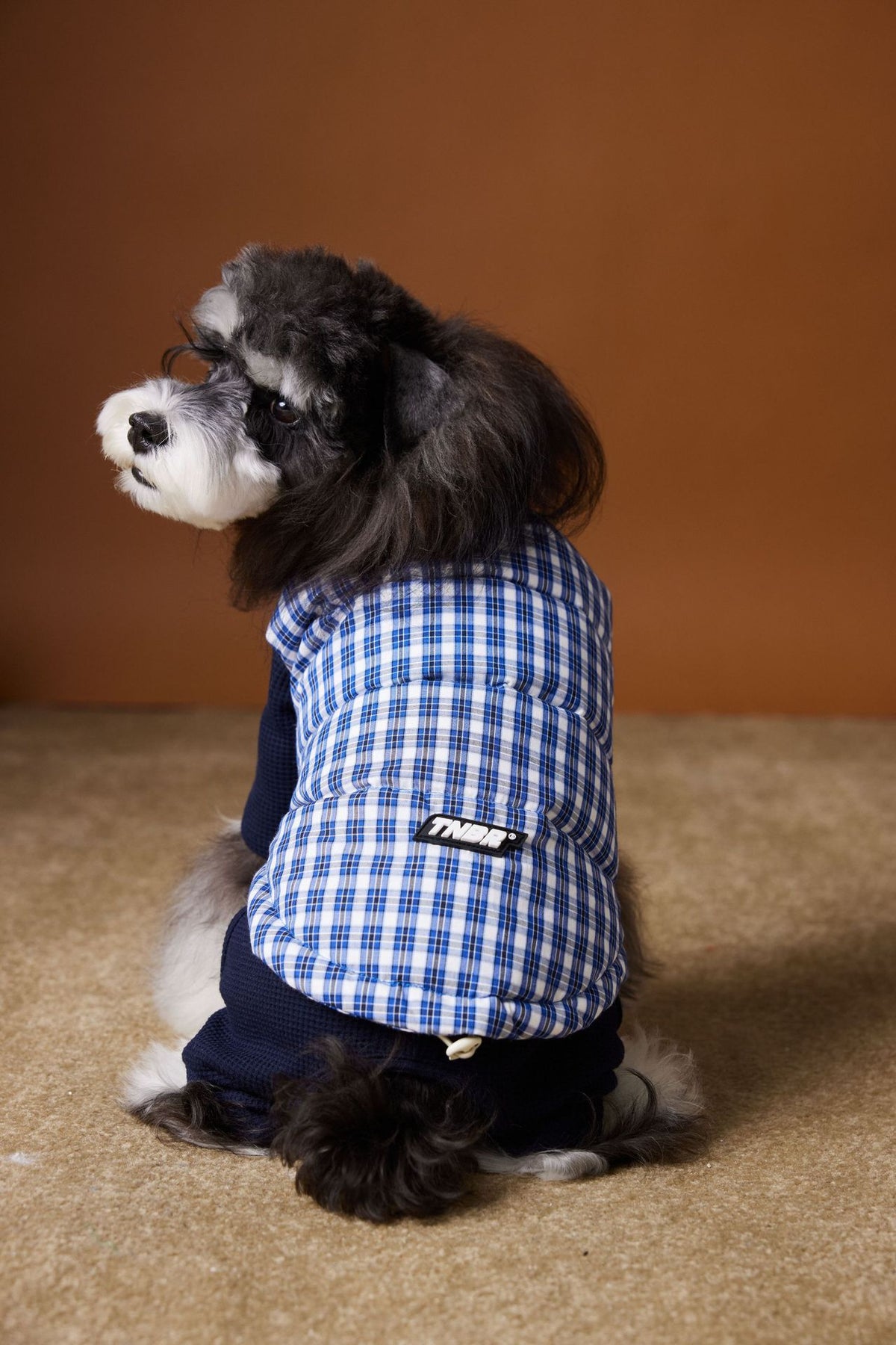 Dog Clothes Autumn And Winter Down Vest