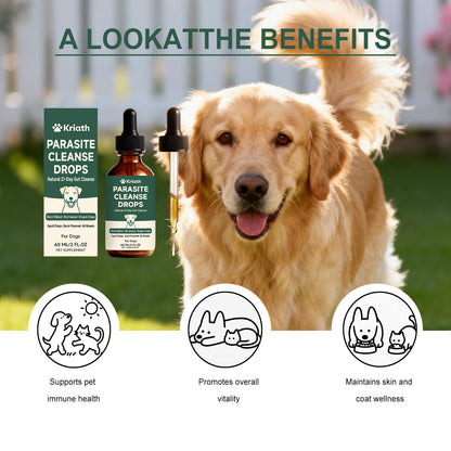 Kriath Dog Intestinal Essential Oil Drops Gentle Formula For Comfort And Care Of The Gastrointestinal Tract Oral Drops For Pets