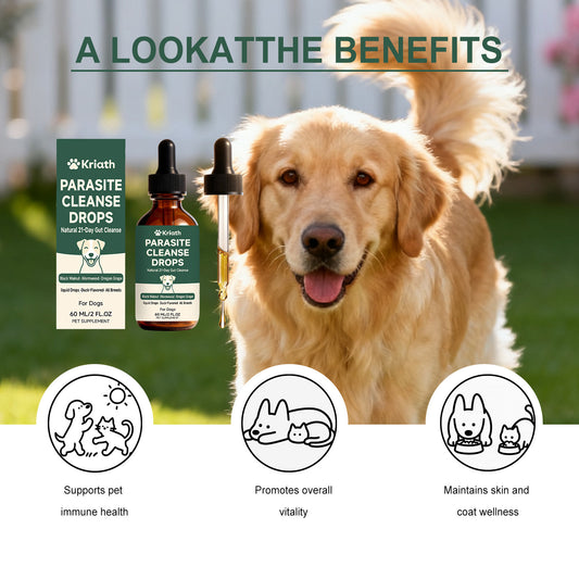 Kriath Dog Intestinal Essential Oil Drops Gentle Formula For Comfort And Care Of The Gastrointestinal Tract Oral Drops For Pets