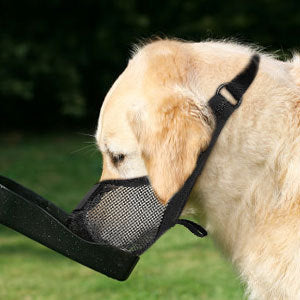 Cross-Border New Dog Muzzle Mesh Breathable Dog Mask Safety Anti-Strangle Dog Muzzle Anti-Barking Anti-Bite Mouth Mask Wholesale