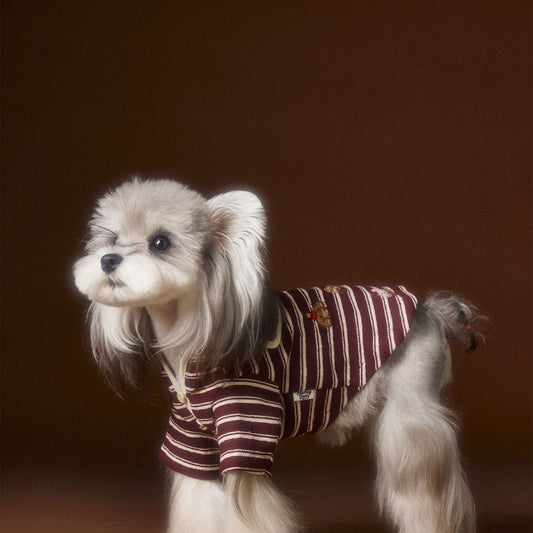 Teddy Bichon Maltese Striped Embroidered Sailor Collar Sweatshirt