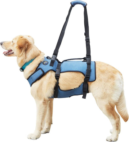 Pet Supplies Auxiliary Clothing
