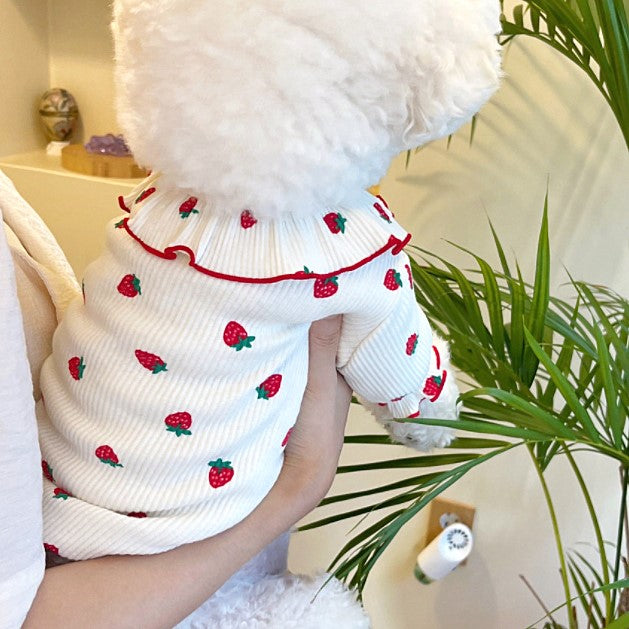 Summer Thin Lace Strawberry Pet Cat Dog Clothes