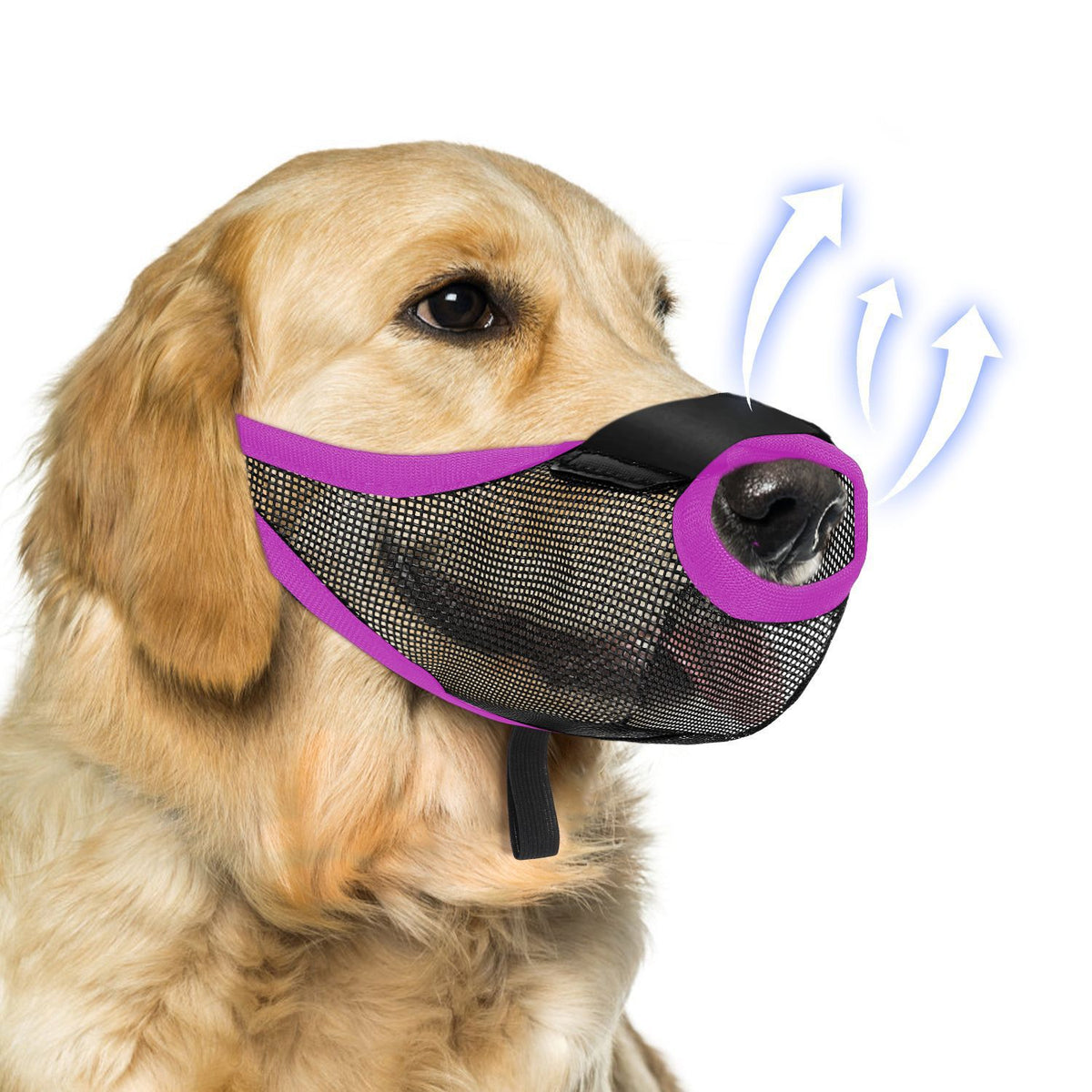 Cross-Border New Dog Muzzle Mesh Breathable Dog Mask Safety Anti-Strangle Dog Muzzle Anti-Barking Anti-Bite Mouth Mask Wholesale