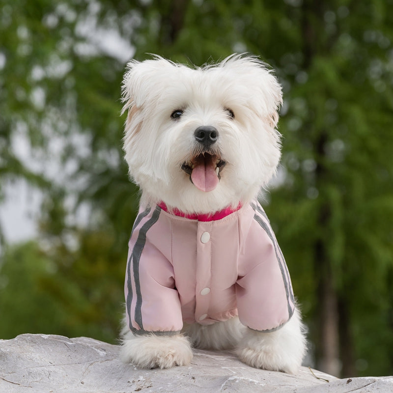 Autumn and Winter Dog Clothing Small and Medium Sized Dog West Highland Bichon Frise Down Jacket with Fleece for...