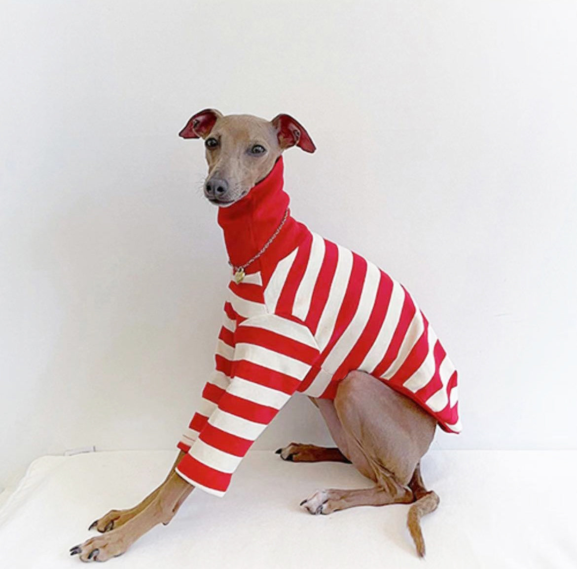 High Collar Striped Cotton Stretch Feet Dog Clothes