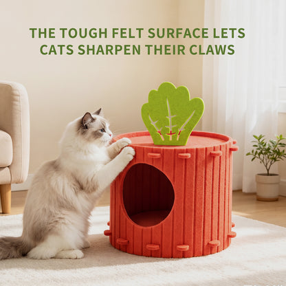 Only Self Pickup---Felt Radish Pet House