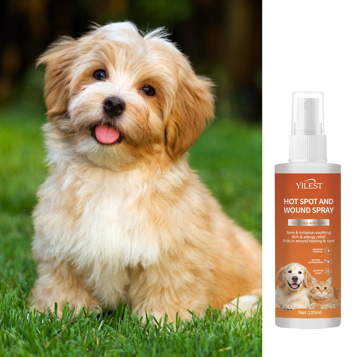 Spray Drive Away Internal And External Long-lasting Spray To Prevent Dogs And Cats Nibbling