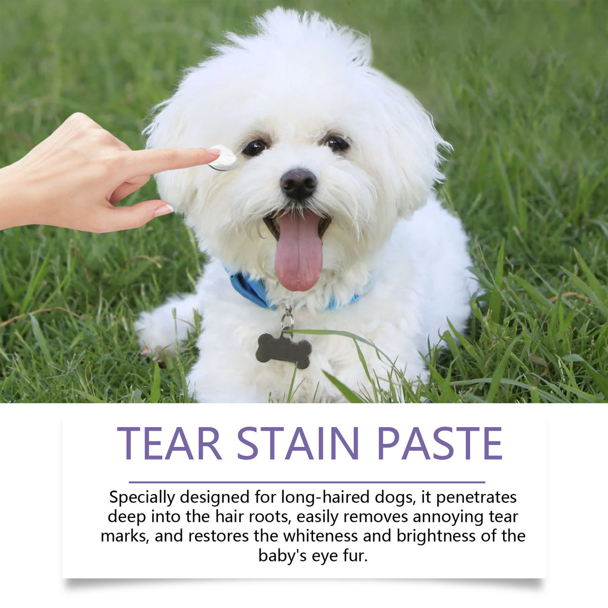 Yegbong Dog Eye Balm - Gentle Cleansing And Moisturizing For Dogs' Eyes, Removing Eye Waste And Tear Stains.