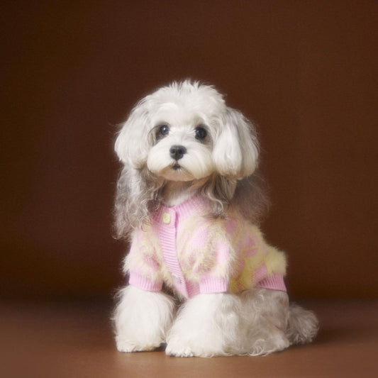 Schnauzer Teddy Bichon Cute Cardigan Sweater - Pet Clothing