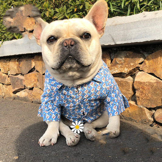 Plush Floral Shirt Teddy Schnauzer Pet Cat Base