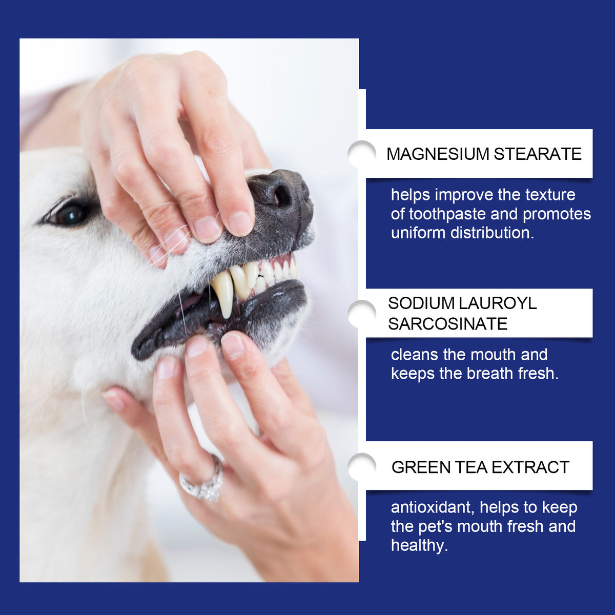 Pet Teeth Cleaning And Stain Removal