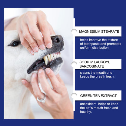 Pet Teeth Cleaning And Stain Removal