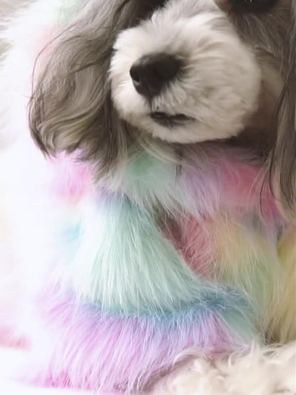 Rainbow Little Pet Jacket