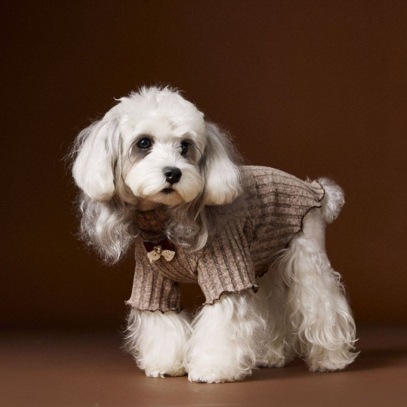Teddy Schnauzer Bichon Maltese Lace Bow Bottoming Shirt - Pet Clothing