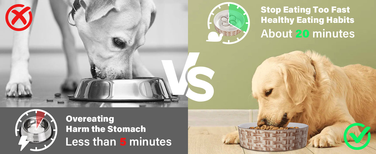Ceramic Slow Feeder Dog Bowl Slow Feeder Dog Bowl For Medium Large Anti-Choking Slow Eating Dog Bowl Non Slip Dog Bowl Slow Feeder