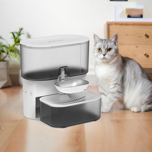 New Stainless Steel Water Dispenser With Timed And Portion-controlled Feeding