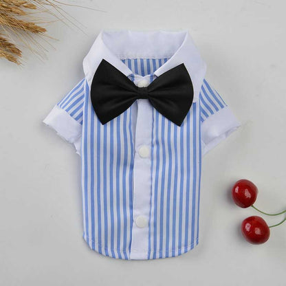 Breathable spring and summer pet clothing