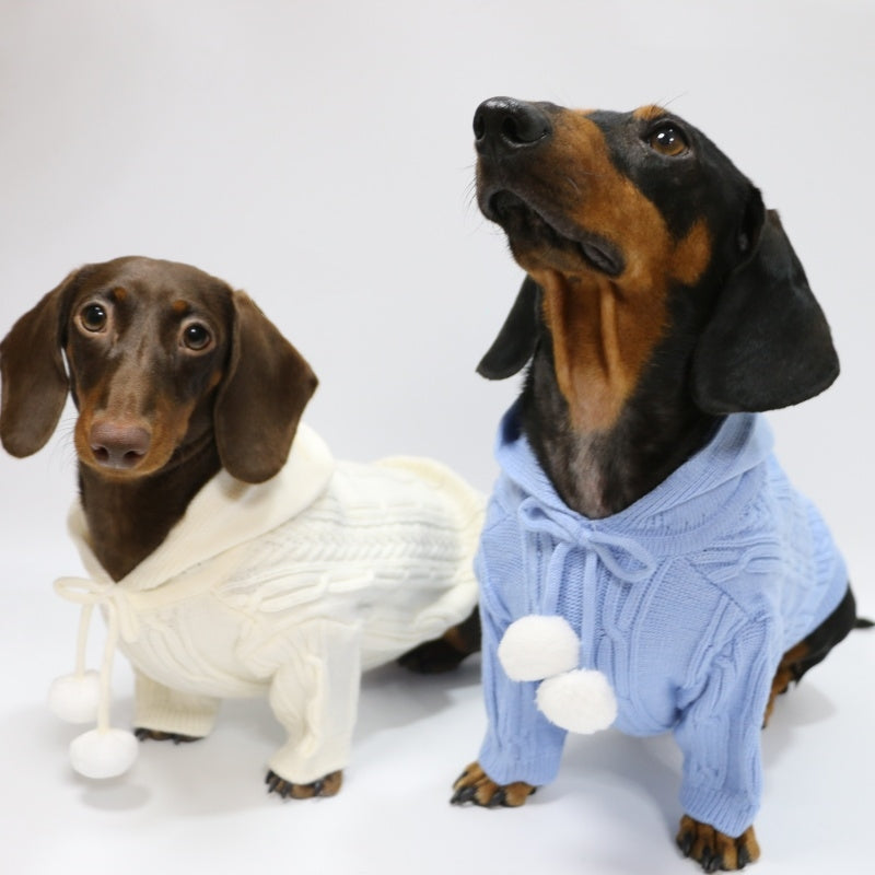 Autumn and Winter Two-Leg Hooded Sweater - Pet Clothing