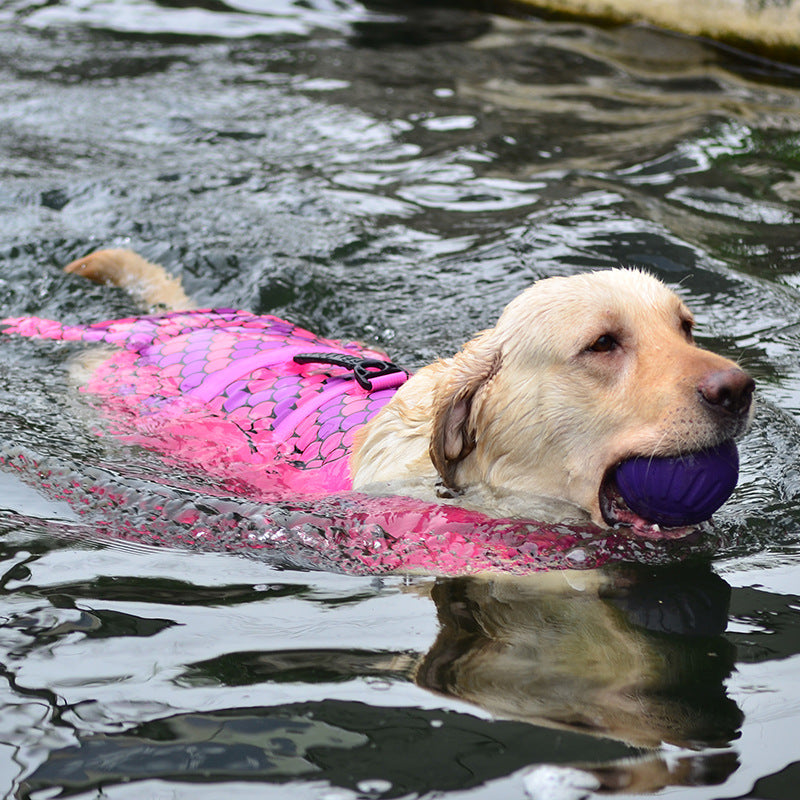 Dog Buoyancy Clothes Swimming Koji Fadou Teddy