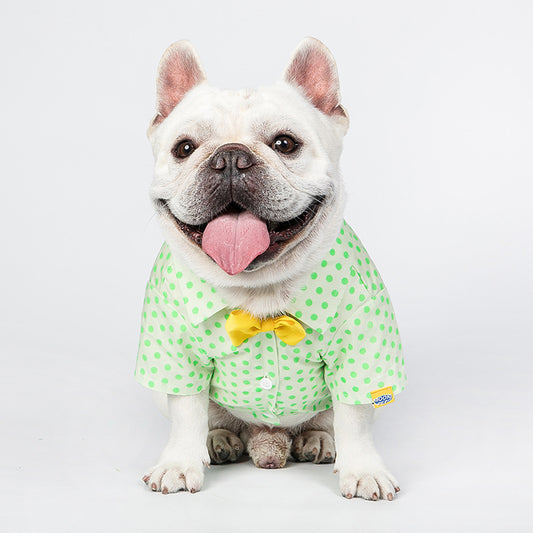Small Medium Sized Cat Green Polka Dot Shirt with Button