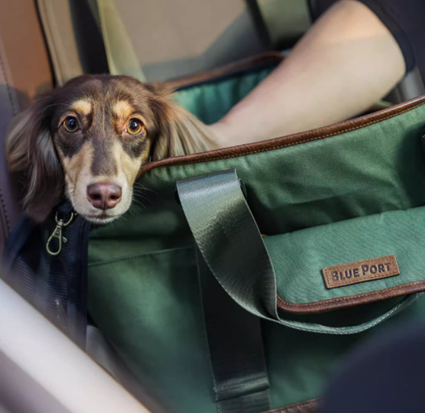 Pet Outdoor Backpack Small Cat Dog