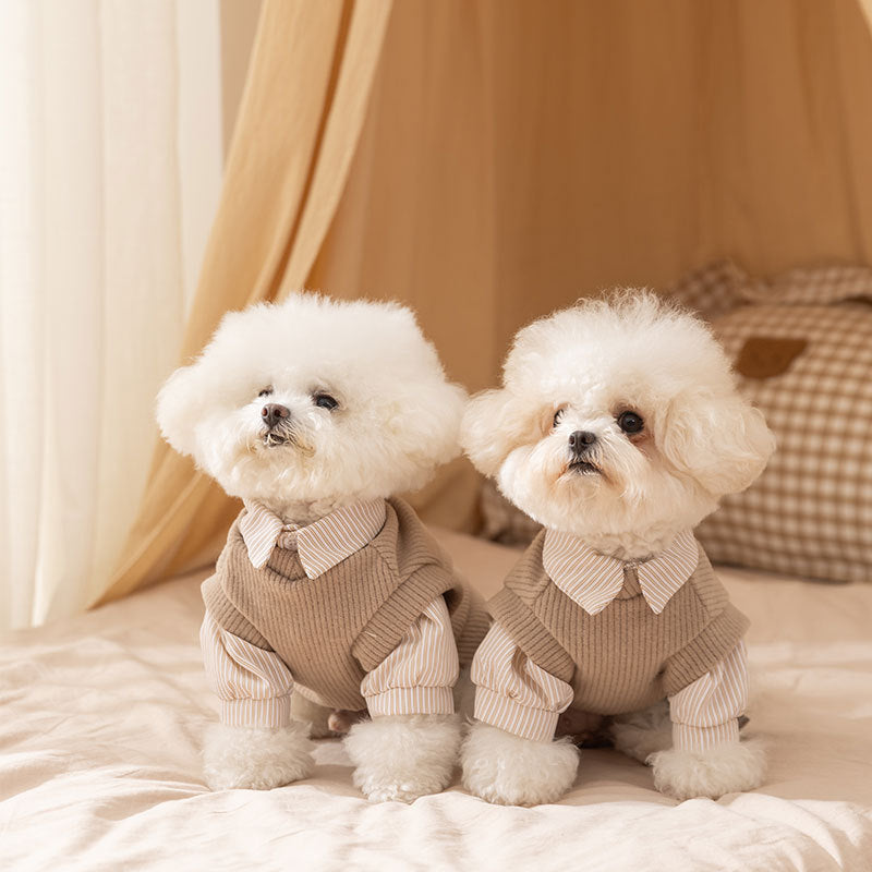 25-Year New Autumn and Winter Thin Small and Medium-Sized Dog Teddy Bichon Striped Two-Legged Coat for Cats, Pets...