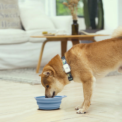 Factory Wholesale Silicone Folding Bowls For Cats And Dogsportable