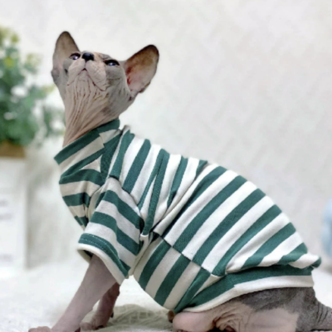 Hairless Cat Sphinx Clothes German Cat Stripes